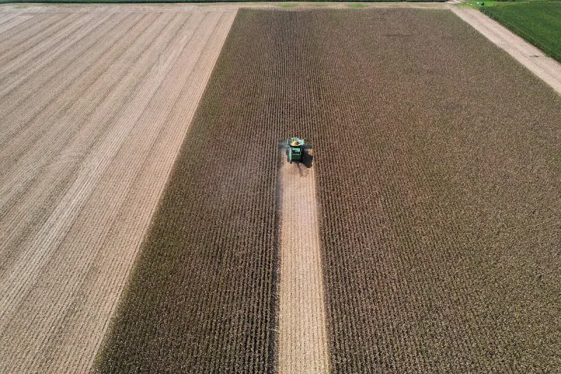 Corn planted in Arkansas down 8% from 2025