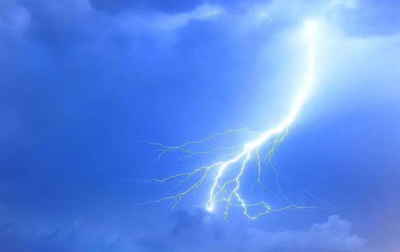 River Valley sees downed trees and power lines after Monday morning storm