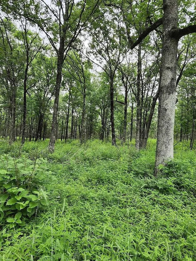 Conservation Incentive Program aids private land habitat