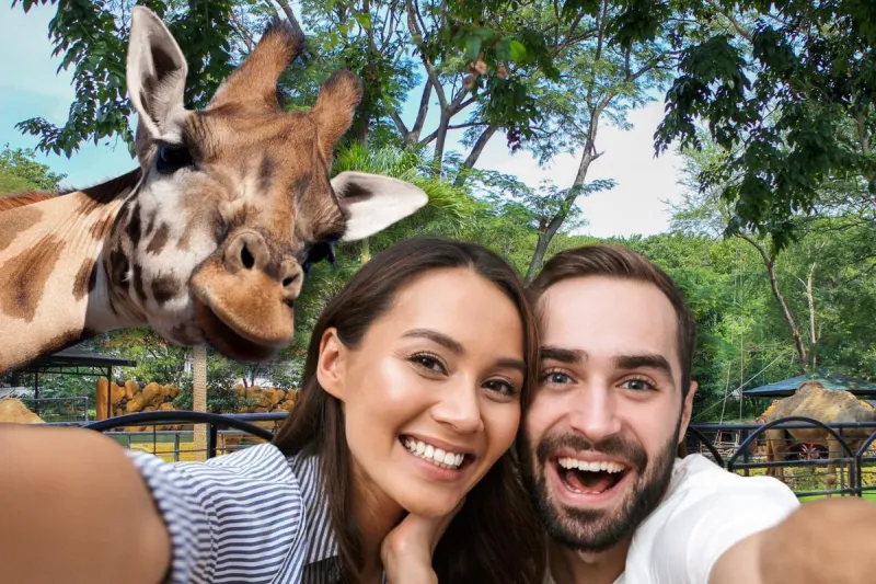 Zoo Brew 2026: Little Rock Zoo's Popular Event Returns