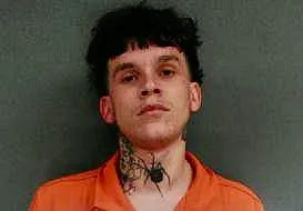 Fort Smith man, 19, pleads not guilty to having video phone sex on Sebastian County jail system with minor