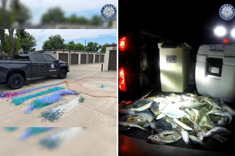 137 Fish Seized After Suspected Illegal Fishing in Texas