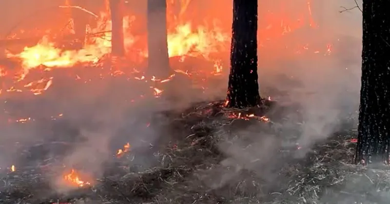 Dry conditions fuel growing wildfire risk across Arkansas