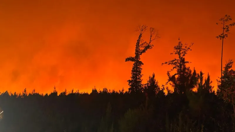 Governor Sanders declares state of emergency as crews respond to wildfire areas