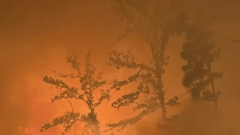 Wildfire scorches woods outside Lawson as wind and heat fuel flames in Union County