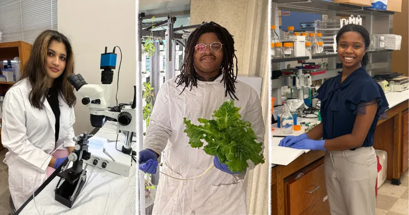 UAPB Summer Research Internships Prepare Students for Careers in Agriculture, Biotechnology and Artificial Intelligence