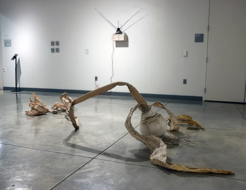 "Trout Street" on Exhibit at ATU Through Sept. 18