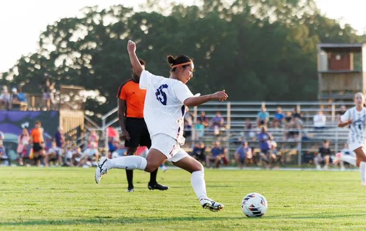 Bears Host Hornets in Thursday Action
