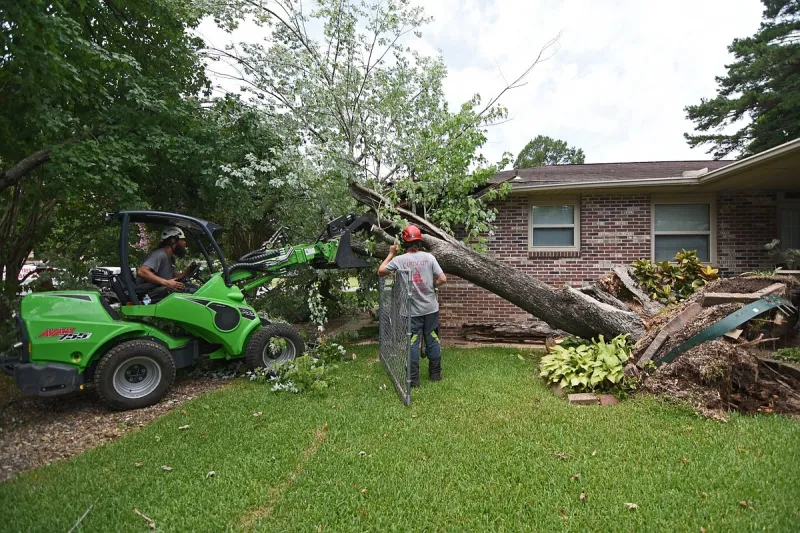 Pulaski County judge fines Capital City Tree Service $470,000 for 'unconscionable' practices after storms
