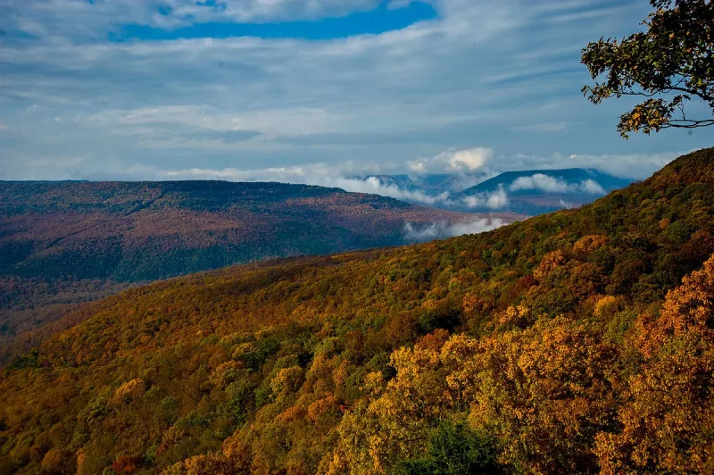 Governor announces essay contest for outdoors