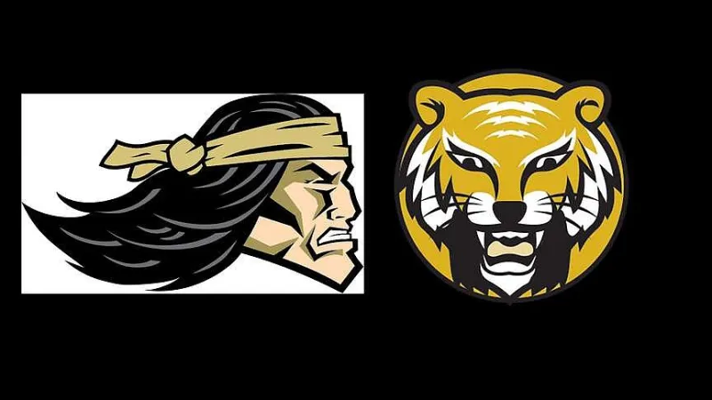 Pottsville rallies past Prairie Grove in Brill's debut