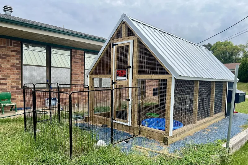Microschools get little state oversight, even as numbers surge under Arkansas LEARNS Act