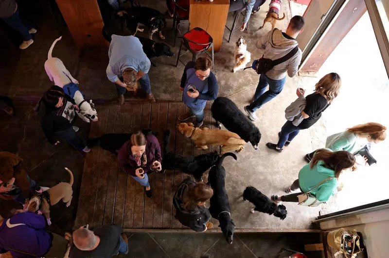 Little Rock's Bark Bar and Grille announces closure on social media