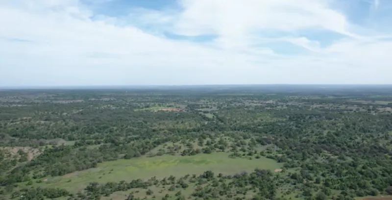 Dirt Cheap Texas: Where To Find Big Acreage, Small Price Tags In Texas