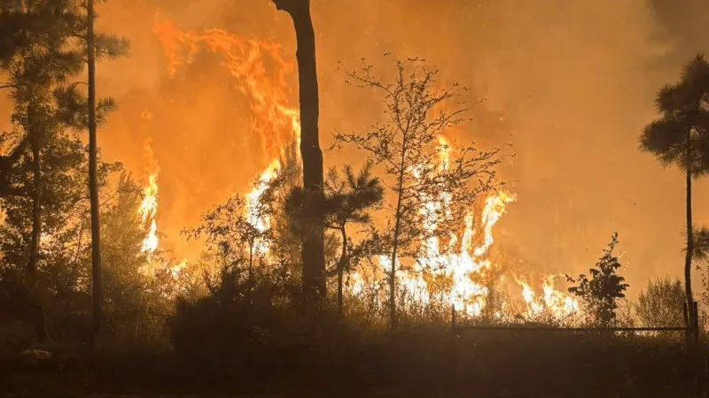Entire state at high wildfire risk; Arkansans urged to stay alert