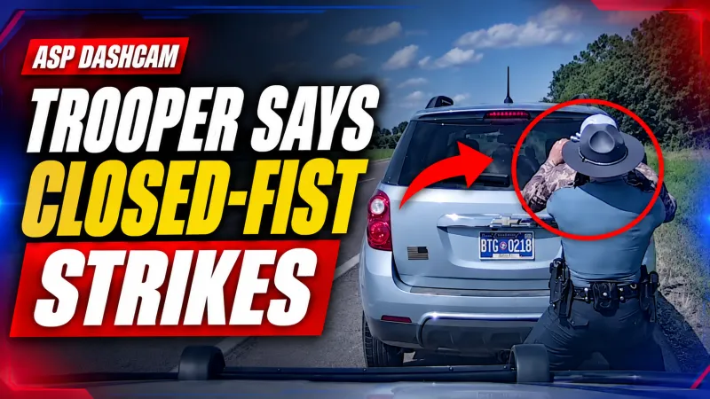 VIDEO: Driver Fights Trooper, Allegedly Reaches for Gun Before 3 Flee Into Woods