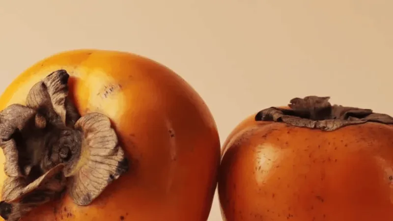 From cows lying down to persimmon seeds, quirky signs once used to predict weather