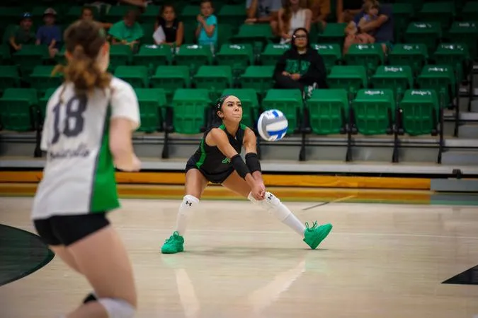 Arkansas-Monticello Drops Conference Opener to Harding