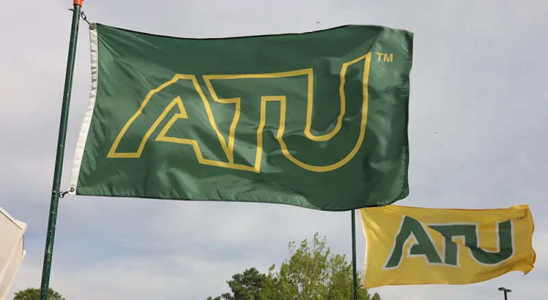 Inaugural Paint the Campus Green and Gold Contest