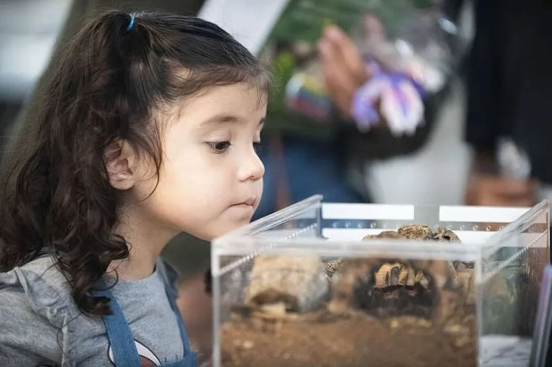 FYI Calendar: Bug-themed demos for all ages at Arkansas Insect Festival on Saturday