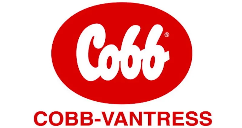 Cobb research initiative names 2026 grant recipients