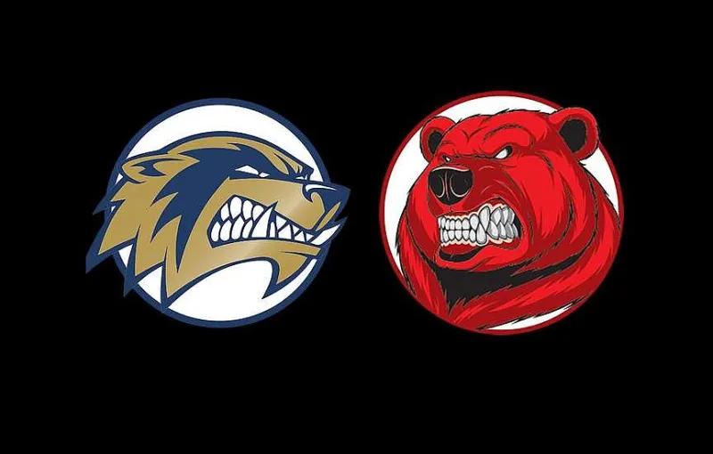 Bentonville West takes over during third set, downs Fort Smith Northside