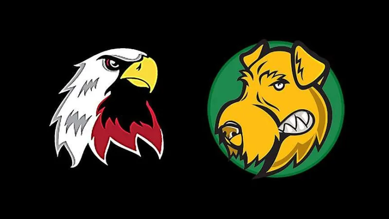 Perkins leads Alma Airedales to win over Vilonia
