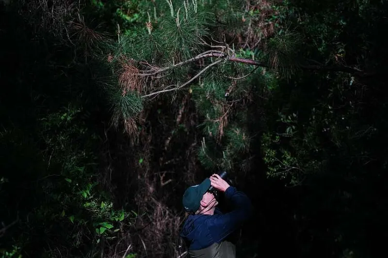 Company leads restoration for N.C. peatlands