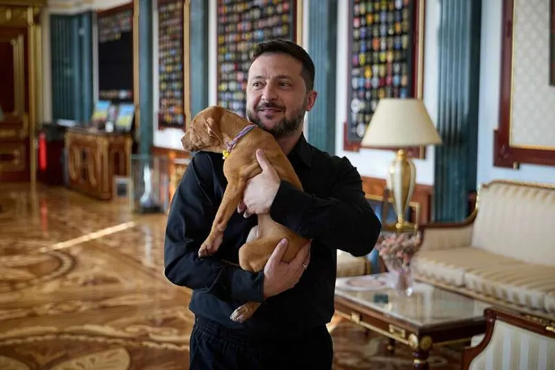 Zelenskyy receives cuddly new envoy: A 3-month-old pup