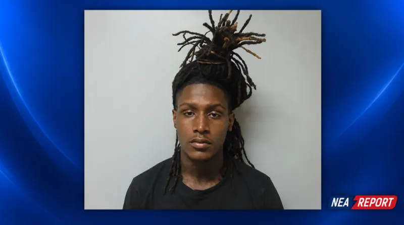 Passenger Accused of Grabbing Wheel, Causing Rollover With Infant Inside