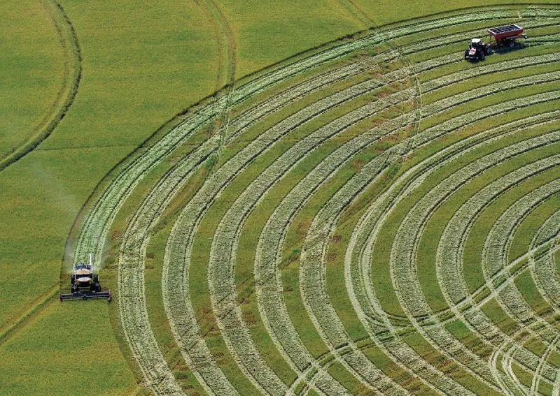 Japan and Arkansas will talk rice in October summit
