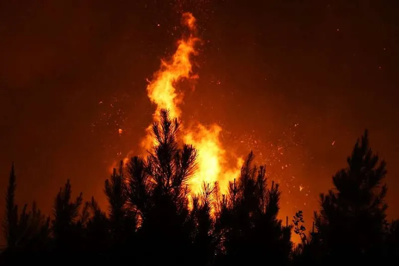 Calhoun County wildfire forces evacuations near Camden