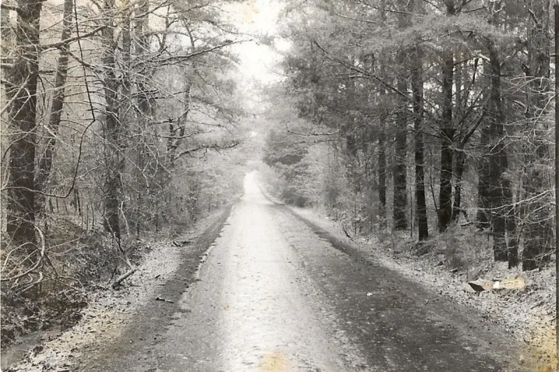 Do You Remember Tyler's 'Werewolf Road'?