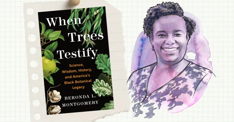 'When Trees Testify': A Q&A with writer Beronda L. Montgomery ahead of Six Bridges Book Festival