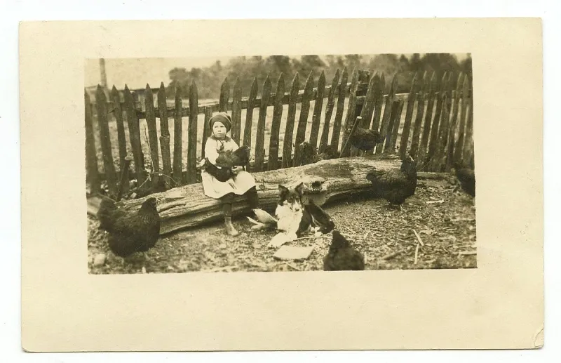 Arkansas Postcard Past: Mena in 1916