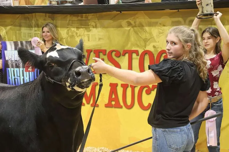 Market steer