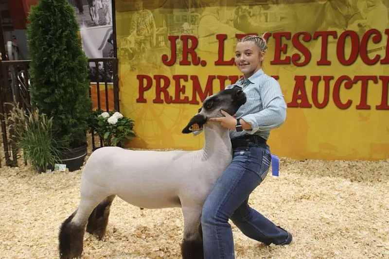 Market lamb