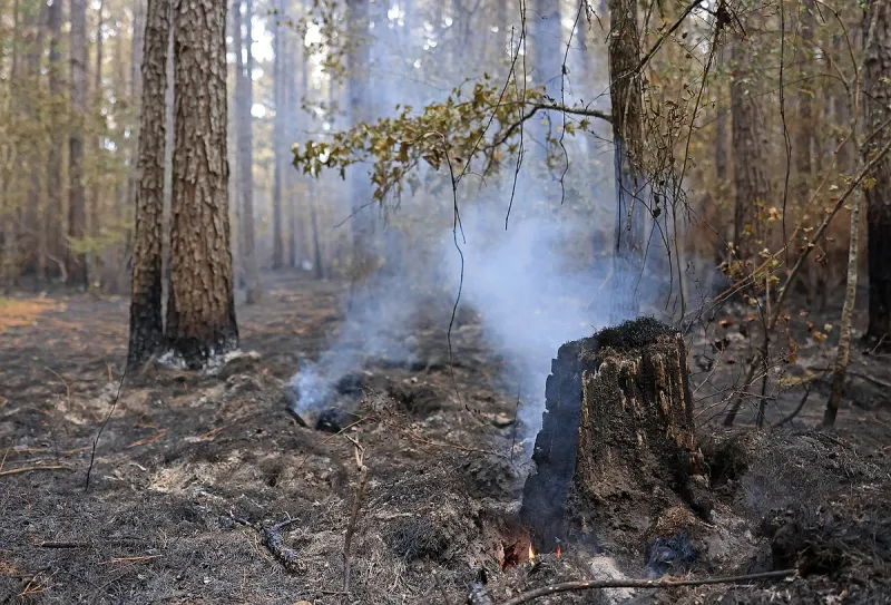 Calhoun County wildfire is 65 percent contained Wednesday morning, official says