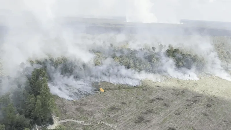 Wildfire near Highland Industrial Park in East Camden reaches 65% containment