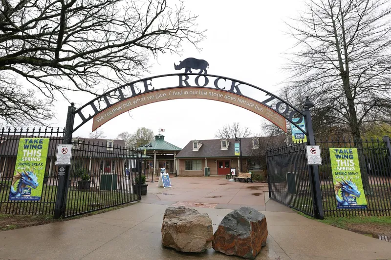 Little Rock Zoo names new assistant director, general curator