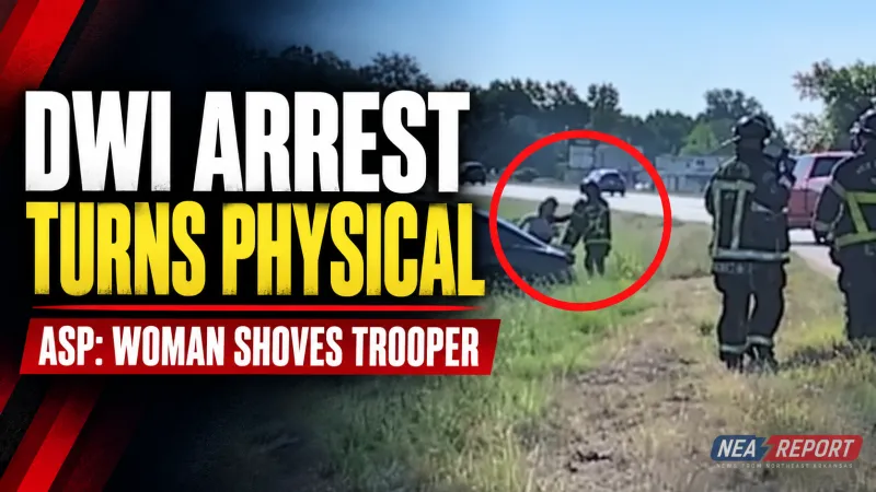 VIDEO: Driver Tries to Shove Trooper During DWI Arrest on I-55, ASP Says