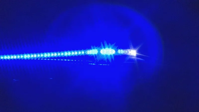 LRPD investigating late-night homicide in Holly Springs area