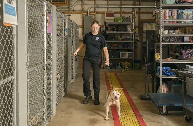 Best Friends Pet Resource Center, Centerton Animal Services to offer adoptable dogs for fun outings for Adventure Buddies Day