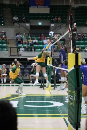 Golden Suns have showstopping game against the Muleriders