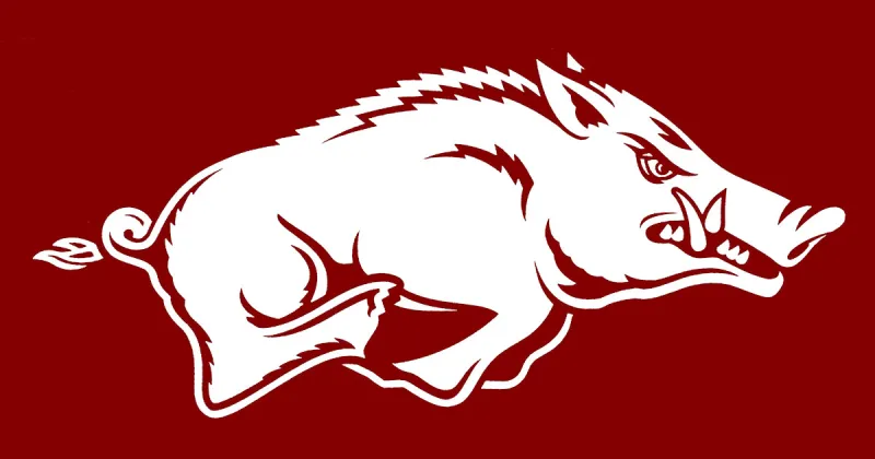 UA Trustees seek review of athletic program competitiveness
