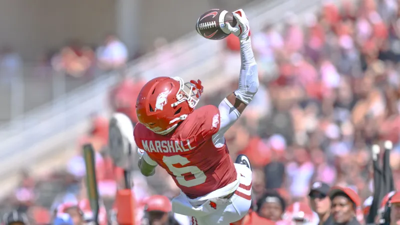 Razorback offense's worst rushing day since 2018 came against Georgia