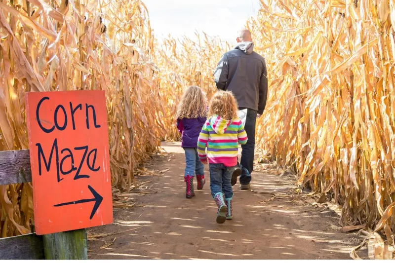 3 Fun Corn Mazes Worth the Drive From Texarkana