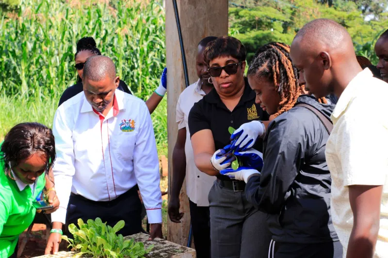 UAPB Extension Program Brings Community Garden Training to Kenya