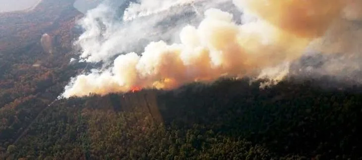 Arkansas activates South Central Interstate Forest Fire Protection Compact to tackle wildfires