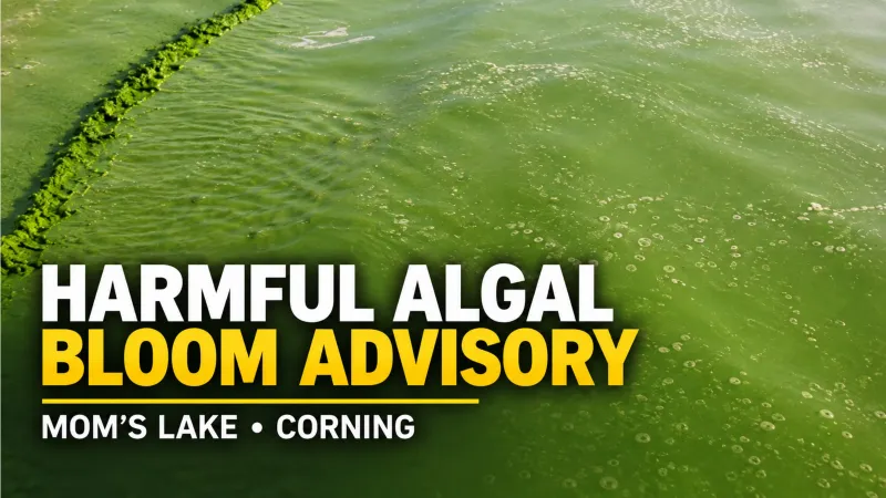 Harmful Algal Bloom Advisory Issued for Mom's Lake in Corning
